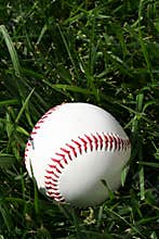Baseball