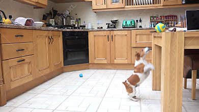 Never give up, stay focused on your Goal.