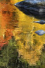 Brilliant reflections of vibrant colors in fall foliage, Canton, Connecticut.