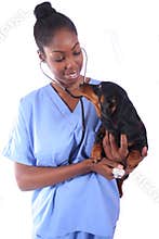 Vet and Dog