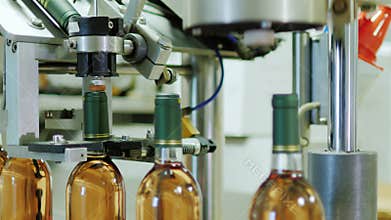 Full automated conveyor line in the winery. Closes bottle full of wine