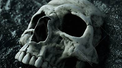 Ancient human skull. Apocalypse concept. Super realistic 4k animation.