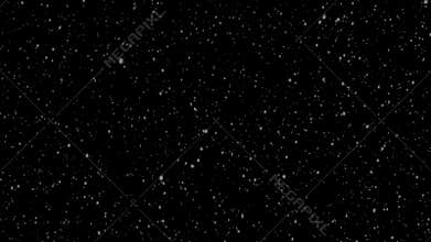 Winter snowfall. Uniform fall of soft snow on a black background. looped