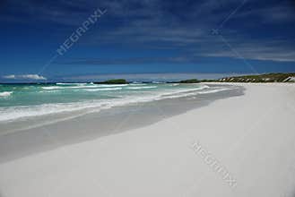 Galapagos Pacific beach