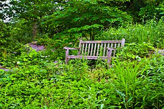 Bench in Plant Trail