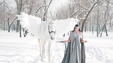 Gorgeous attractive lady with black long hair in vintage gray dress and templar raincoat on snowy path in winter garden