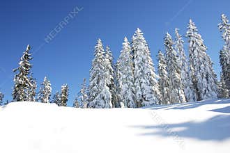 Austria / Winter