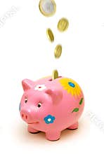 Piggy Bank and Money