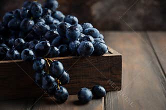 Fresh Black Grapes in Dark Wooden Tray on Wooden Table