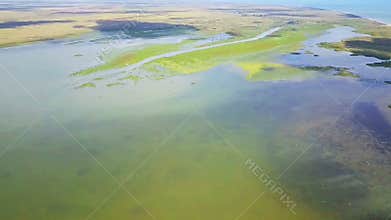 Wetland habitat in the Danube Delta