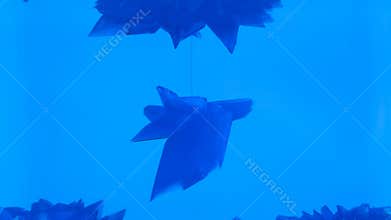 Growth of copper sulphate crystal