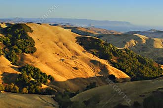 Golden Hills of California