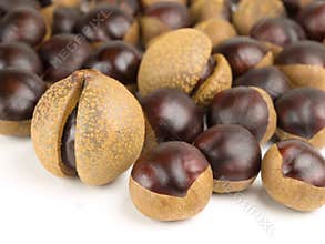 Horse chestnuts on pure white surface