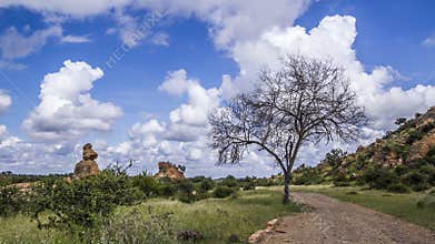 Boulder landscape in Mapungubwe National park, South Africa