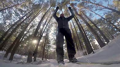 Cross country skiing in the forest