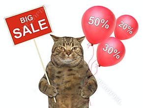 Cat holds a sign and balloons