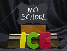 Ice danger brings on No School closing