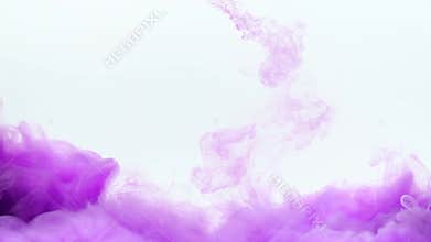 Purple ink drop in water.