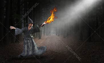 Wizard, Magic, Spell, Mystic, Forest