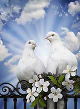 Heralds of hearty love