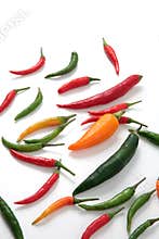 Hot chili peppers variety
