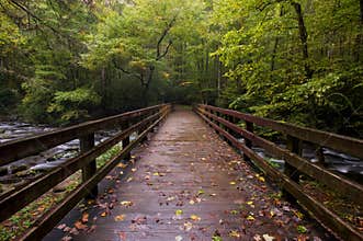 Great Smoky Mountains national park