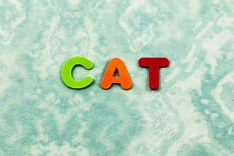 Cat feline pet animal spell preschool children letters