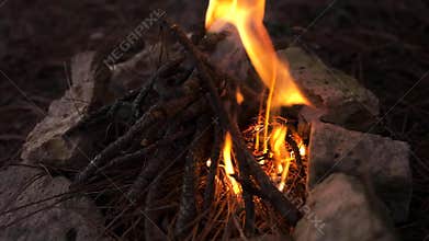 Starting camping fire at camp in the forest. Making bonfire, burning process. Nature background. Travel, adventure. Cozy