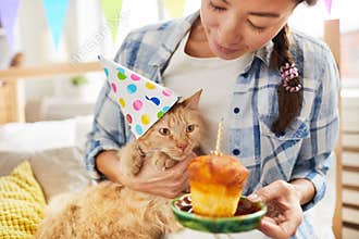 Happy Birthday to Cat