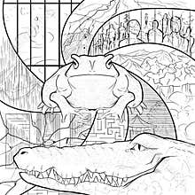 Toad having a Sleepless Night Curse