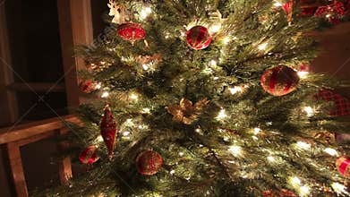 Christmas tree at night