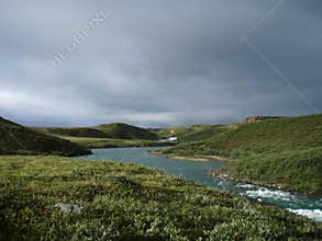 Arctic Tundra