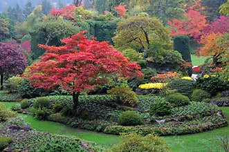 Sunken garden in fall