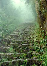 Inca trail