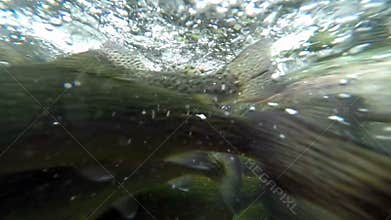 Pailon Del Diablo Waterfall Undershot Slow Motion