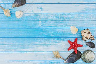 Sea Shells Decorations And Sea Star On Blue And White Painted W