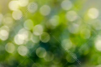 Bokeh blur green background Water reflection Bokeh blur green background
