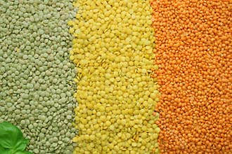 Stripes of staple foods commodities as lentils