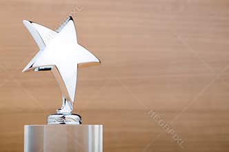 Star award on the wooden background