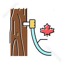 maple sap collection, using tubing method color icon vector illustration