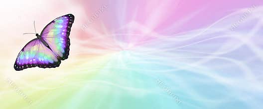 Beautiful Rainbow Butterfly message board background