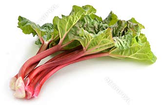 Rhubarb