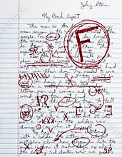 Book Report Term Paper School Essay Failing Grade