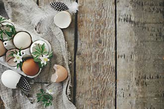 Easter rustic flat lay. Natural easter eggs, blooming spring flowers, feathers, burlap on rural wooden table. Happy Easter! Simple