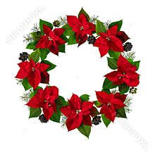 Poinsettia Christmas Eve flowers, ivy and fir tree branches wreath isolated on white