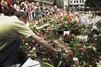 Bed of roses with Oslo Cathedral