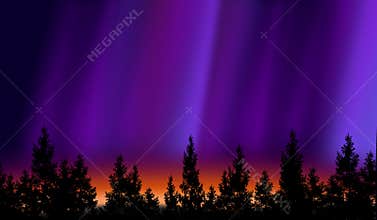 Northern lights