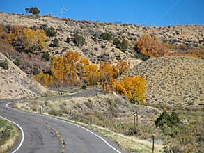 Route 50 in Colorado passes brilliant fall colors near Black Canyon of the Gunnison National Park.