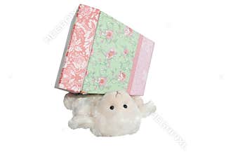 Lamb Under the Box - Prepositional Phrases