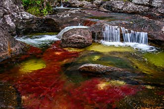 The rainbow river or five colors river is in Colombia